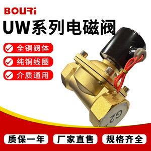 โซลินอยด์วาล์ว Bouri ขนาด 1/2 นิ้ว AC220V DC24V วาล์วควบคุมน้ำและแก๊สแบบสองตำแหน่ง พร้อมเกลียวเชื่อมต่อ - Product Image 3