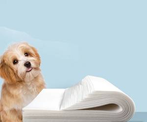 Coussinets absorbants biodégradables pour chiots et animaux de compagnie, à séchage rapide - Product Image 6