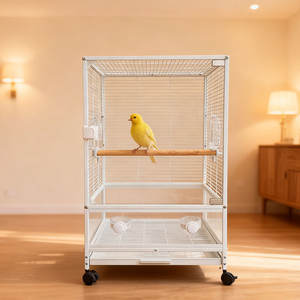 <span class=keywords><strong>Cage</strong></span> à perroquets extérieure de grande taille, personnalisée, moderne et classique, en <span class=keywords><strong>verre</strong></span> massif et en acier inoxydable, pour perroquets et petits oiseaux - Product Image 2