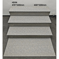 Carreaux de sol de surface litchi 1200x470mm 600x1200mm en porcelaine à la mode