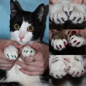 Recipiente antiarranhões para unhas, tampa macia de silicone para unhas de gato, protetor de unha com cola livre - Product Image 3