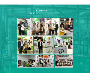 Supplément PQQ Poudre Rouge <span class=keywords><strong>Pyrroloquinoline</strong></span> <span class=keywords><strong>Quinone</strong></span> pour Coeur et Cerveau - Product Image 6