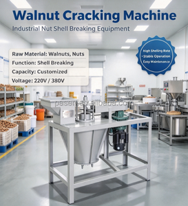 Décortiqueuse industrielle de <span class=keywords><strong>noix</strong></span> et d'amandes 300-400 kg/h, petite machine à décortiquer les amandes, <span class=keywords><strong>noix</strong></span> et noisettes avec interstice réglable - Product Image 4