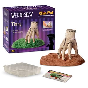 Molde personalizado para mascotas Chia, cosa para mascotas Chia, miércoles con paquete, regalos corporativos - Product Image 4