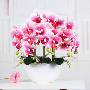 Plantes d'orchidées <span class=keywords><strong>dendrobium</strong></span> au toucher réel M609, orchidées <span class=keywords><strong>phalaenopsis</strong></span>, fleurs d'orchidées, arrangement d'orchidées avec pot - Product Image 5