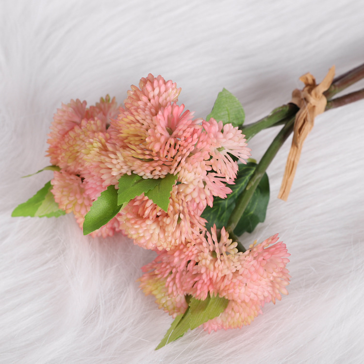 Hydrangea fruit, pink