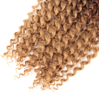 Orient Passion Twist Crochet Cheveux Passion Twist Crochet Tresses