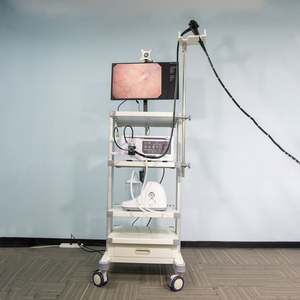 Endoscopio veterinario Video gastroscopio broncoscopy macchina endoscopia prezzo per equino o cavallo - Product Image 2