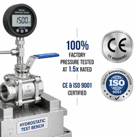Válvula de Bola de Hierro Fundido de Paso Completo con Brida, Palanca Azul, para Gas, 1000 WOG, OEM, Acero Inoxidable