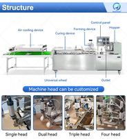 Machine Entièrement Automatique pour Tortillas et Pains Plats, Fabrication Commerciale de Tacos Mexicains