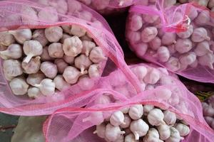 <span class=keywords><strong>Ail</strong></span> frais 2025 nouvelle culture <span class=keywords><strong>ail</strong></span> blanc de haute qualité en vrac <span class=keywords><strong>non</strong></span> <span class=keywords><strong>pelé</strong></span> 10kg sac en maille exportation - Product Image 5