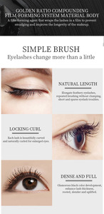 Cils pour les yeux séchage rapide Logo personnalisé Couvercle en or de luxe Marque privée Cils épais <span class=keywords><strong>Mascara</strong></span> <span class=keywords><strong>3D</strong></span> en fibre Volume supplémentaire Crème <span class=keywords><strong>Mascara</strong></span> Imperméable - Product Image 6