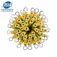 Câble de mise à la terre industriel personnalisé jaune-vert en PVC, monoconducteur en cuivre, basse tension, faisceau de câbles de terre avec bornes annulaires M5/M6/M8