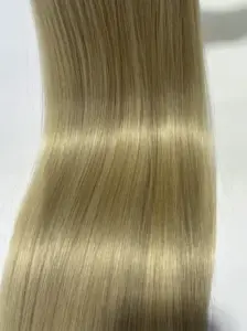 2024 Hot Sale Top Quality 100% Human Remy Virgin Hair Cuticle Aligned Lace Weft Human Hair Extensions For Woman