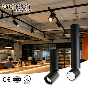 Lámpara de Techo Colgante Personalizada OEM, Ajustable en Intensidad, Inclinación, CCT y Potencia, Cilindros LED para Iluminación Direccional, Foco LED para Bar - Product Image 1