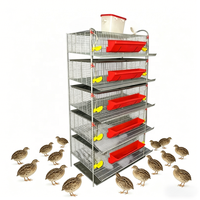 Cage à cailles de type H à 5 niveaux, très vendue, avec abreuvoir et mangeoire automatiques pour l'élevage de volailles