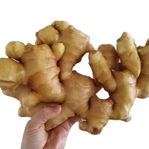 Buy Large Ginger from China Fresh 2024 New Crop
