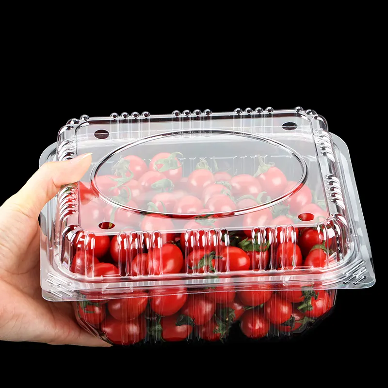 Caja desechable de plástico transparente para embalaje de fruta, envase de embalaje de baya, fresa, arándano, 125G, 250G, 500G