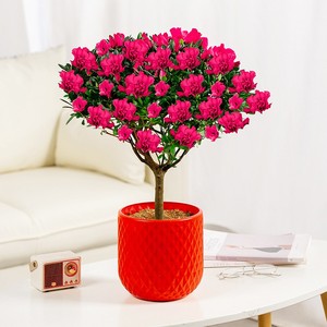 <span class=keywords><strong>Maceta</strong></span> de Material PE con Absorción Automática de Agua, Estilo Moderno, Tradicional, Minimalista, para Cultivo Hidropónico, Color Rojo - Product Image 3