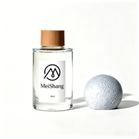 Bouteille diffuseur d'arômes en verre transparent 30ml 50ml 80ml 100ml vide, non inflammable, avec bouchon Gypsum Planet pour parfum d'intérieur