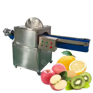 Cortadora de medio repollo de frutas y verduras, cortadora de medio cebolla con transportador tipo V