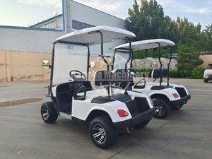 Carrito de Golf Eléctrico de 4 Plazas con Certificación DOT, Batería de Plomo-Ácido, Largo Alcance, Carga Rápida, Compatible con Fábrica Directa, Personalizado 2026 - Product Image 3