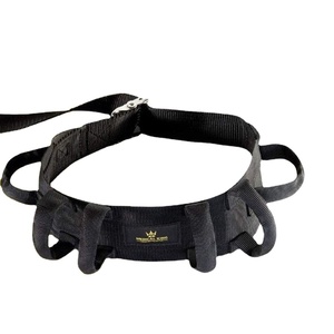 Cinturón de Marcha para Personas Mayores, Duradero, para Asistencia a la Ambulancia y Movilidad de Pacientes, Cinturón de Transferencia con Asas - Product Image 2