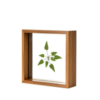 Nordique Simple plante de fleur séchée Double face Table en verre Transparent cadre photo créatif cadre de spécimen
