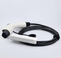 Câble de charge électrique V2L GBT vers EU/US/CN, décharge par pistolet, GB/T, véhicule à énergie nouvelle, 16A, norme automobile européenne V2L, 3,5 kW
