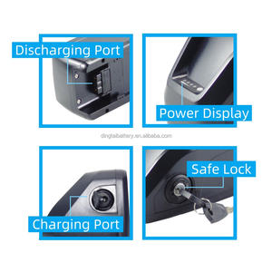 RADPOWER <span class=keywords><strong>RadWagon</strong></span> 4 Batterie pour vélo cargo électrique 48V 14Ah 10,4 Ah 11,6 Ah 12Ah 12,8 Ah 15Ah pour vélo cargo électrique <span class=keywords><strong>RadWagon</strong></span> 4 - Product Image 5