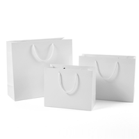 Toptan Özel Logo 5.25x3.75x8 Gri Karton Çantalar İpli Beyaz Flekso Baskılı Geri Dönüştürülebilir Süpermarket Promosyon Hediyesi