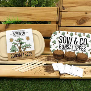 Seminare e co eco-friendly coltiva kit di peperoncino bonsai materiali biodegradabili da giardino tubo da giardino arredamento vaso in ceramica - Product Image 3