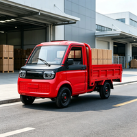 Camionnette électrique économique à 2 places avec cabine entièrement fermée pour la vente en gros à Nairobi