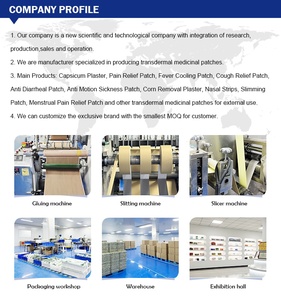 Prodotto sanitario a base di erbe mentolo cerotto reumatismo transdermico per alleviare il dolore del nervo sciatico - Product Image 6