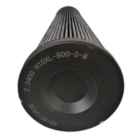 Reemplazo de fábrica R928025630 R928025635 R928025636 R928025640 R928025641 Elementos de filtro de equipo de aceite hidráulico