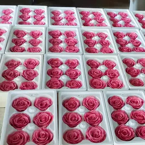 HFloral 5-6 cm Rose Head Stabilized Eternal Rose Heads Preserved Rose flower For Decoration