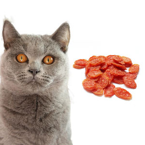 Friandises pour animaux de compagnie, viande sèche, nourriture pour animaux de compagnie, protéines élevées, friandises pour chiens et chats, friandises pour faire grossir les joues, petites tranches de poisson et de <span class=keywords><strong>jambon</strong></span>, fabrication directe en usine OEM ODM - Product Image 1