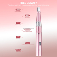Vente directe d'usine, appareil sans fil professionnel, stylo à micro-aiguilles électriques pour micro-aiguilletage, tatouage et maquillage permanent