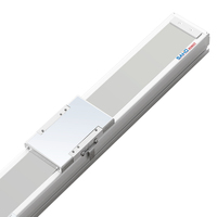 Actuador Lineal Personalizado MSTM100 con Motor de Rodamiento, Guía Lineal de Alta Precisión, Estructura Antipolvo, Material de Aluminio