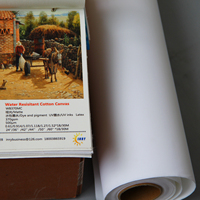 Blanc brillant 290gsm mat Polyester Pigment colorant imprimé blanc jet d'encre numérique impression peinture toile rouleau