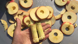 Machine électrique de dénoyautage de <span class=keywords><strong>cerises</strong></span> Machine industrielle de dénoyautage de prune épluchage de pomme - Product Image 5