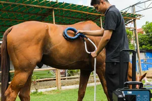 Boucle de thérapie magnétique PEMF tactile libre de fournisseur portatif de dispositif de Pemf pour le cheval