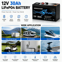 Paket Baterai LifePO4 Deep Cycle 12V 30Ah-120Ah 24V 200Ah untuk RV, Kapal, Sistem Off-Grid, Tenaga Surya, dan Power Station Portabel