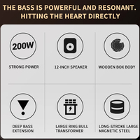 12 inç Ev Sinema Sistemi Aktif Subwoofer, Yüksek Güçlü Bas Dj Subwoofer Hoparlör, Parti Sınıfı D Amplifikatörlü 110V/220V