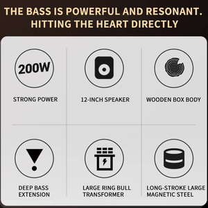 <span class=keywords><strong>Subwoofer</strong></span> Attivo da 12 Pollici per <span class=keywords><strong>Home</strong></span> <span class=keywords><strong>Theater</strong></span>, Altoparlante <span class=keywords><strong>Subwoofer</strong></span> DJ ad Alta Potenza, con Amplificatore Classe D per Feste 110V/220V - Product Image 5