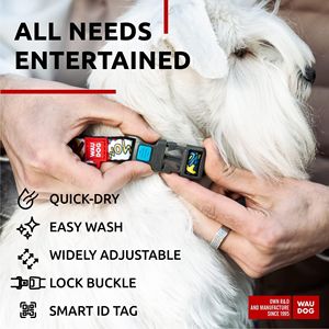 Collier pour chien Waudog en nylon réglable avec motif de dessin animé, boucle de sécurité, pour petits chiens, toutes saisons, style moderne - Product Image 6