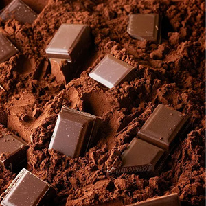 Cacao en Polvo Natural 10-12% de Grasa, Sin Azúcar, Cacao Oscuro Sin Endulzar para Dieta <span class=keywords><strong>Keto</strong></span>, Repostería Baja en Carbohidratos, Certificado Halal Kosher, a Granel - Product Image 2