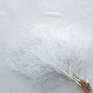Fiori Stabilizzati Stile Ins 2026 di Tendenza, Erba Fantasia, Fiori Naturali Decorativi, Fiori Secchi per Decorazioni Casa/Matrimonio - Product Image 2