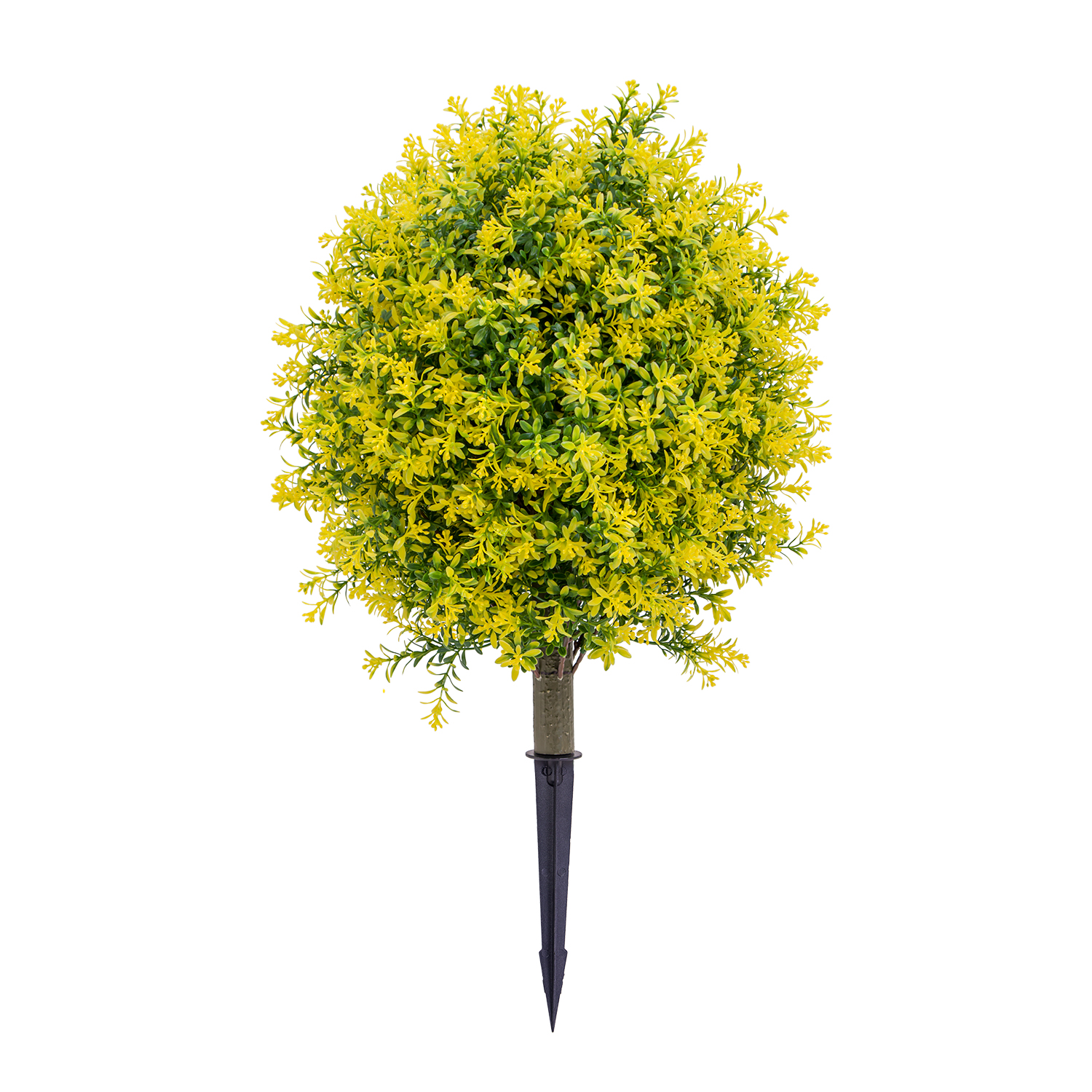 Arbre à piquet de terre jaune