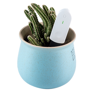 Xiaomi mijia-capteur intelligent d'<span class=keywords><strong>humidité</strong></span> du sol, polyvalent, projecteur intelligent, mesure précise de l'<span class=keywords><strong>humidité</strong></span> instantanée, <span class=keywords><strong>pour</strong></span> plantes et fleurs - Product Image 1